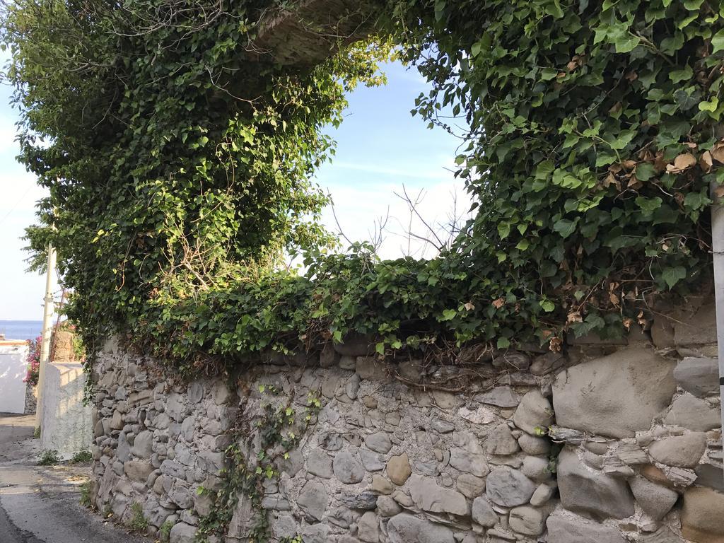 勒托阳尼Casa Paloma公寓 外观 照片